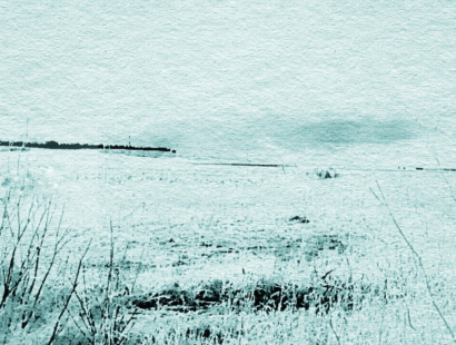 . _ ………  …… Lo inmarcesible es un afán