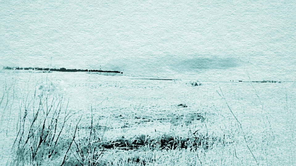 . _ ………  …… Lo inmarcesible